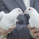 Image for article titled Everyone's Obsessed with This Crazy NY Times Wedding Story